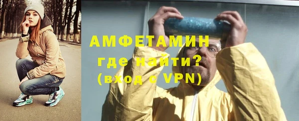 шишки Богородицк