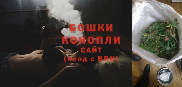 шишки Богородицк