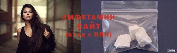 шишки Богородицк