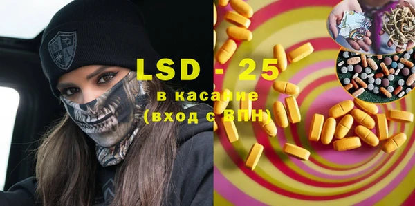 шишки Богородицк