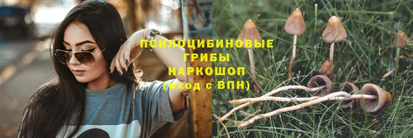 шишки Богородицк