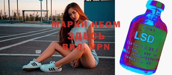 шишки Богородицк