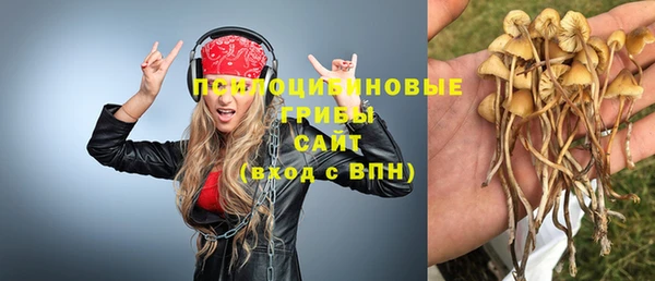 шишки Богородицк