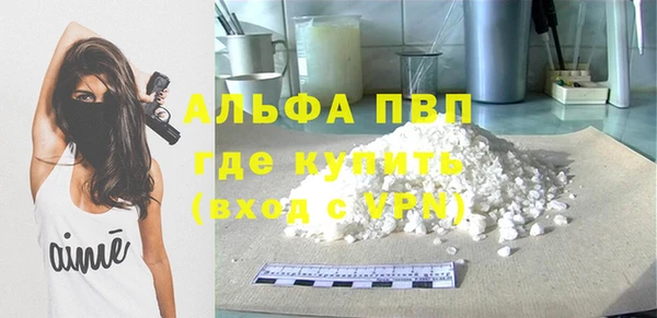 шишки Богородицк