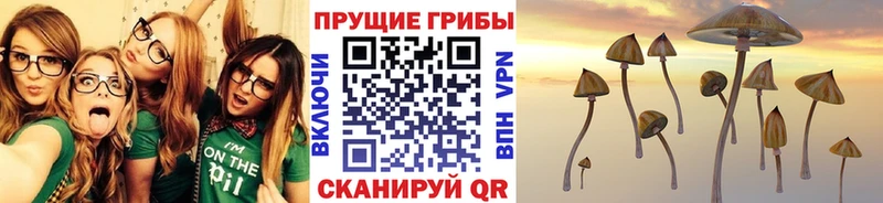 Галлюциногенные грибы GOLDEN TEACHER  хочу   Нахабино 